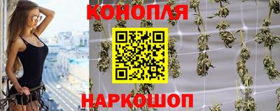 дмт Новозыбков